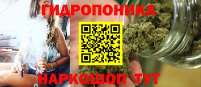 соль ск Можга