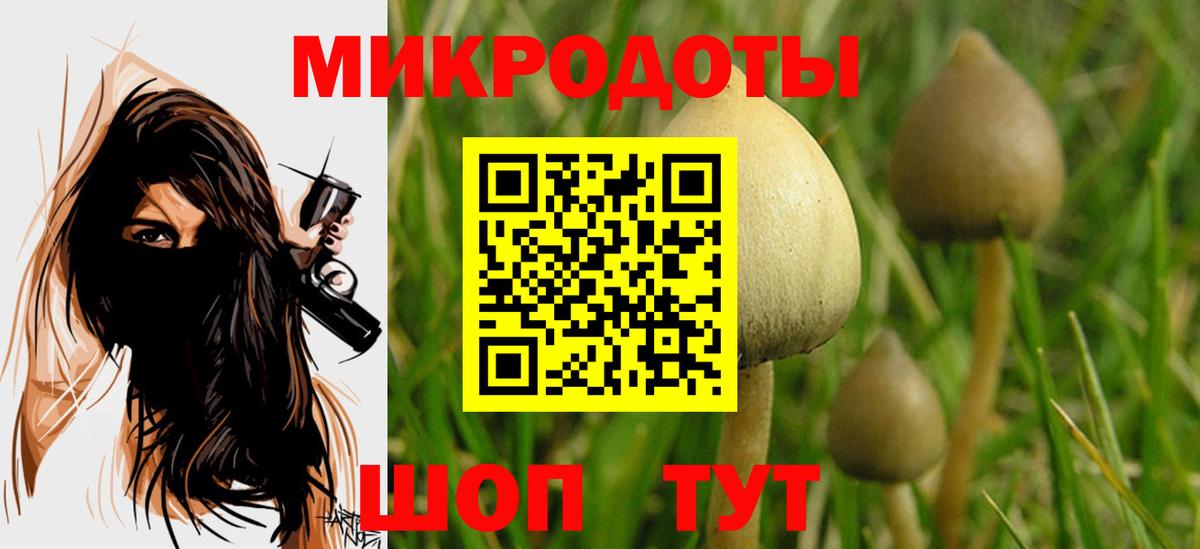 Галлюциногенные грибы мицелий  Вход с VPN  Псилоцибиновые грибы Cubensis  Сургут 